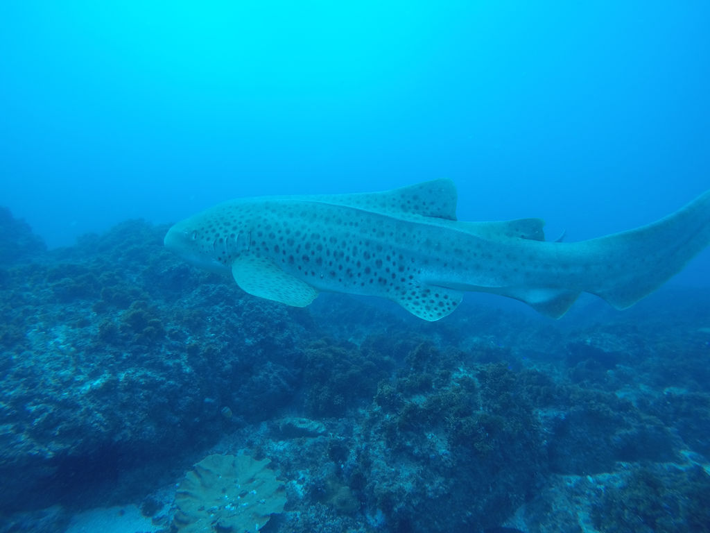 abc533f2-13df-4a77-b427-977f529d3560