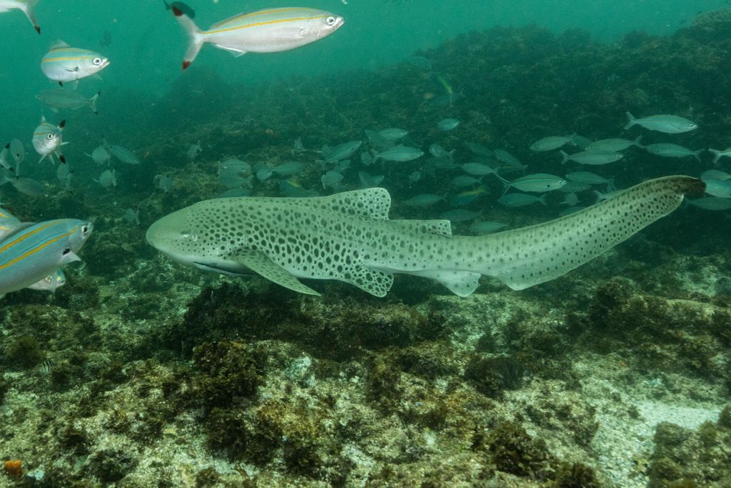 7c6a1355-c866-4f11-b71a-22f799319afc