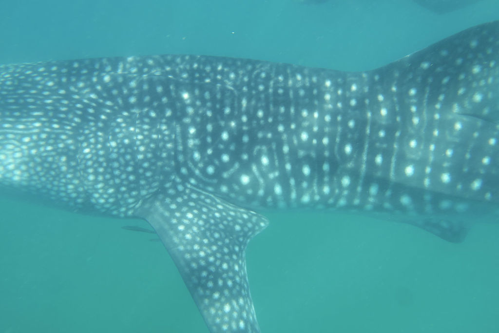 b9f2a2df-72df-40f1-85d9-d935be4431b0