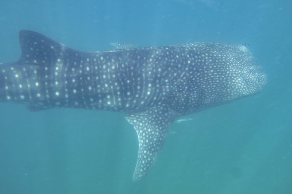 b9f2a2df-72df-40f1-85d9-d935be4431b0