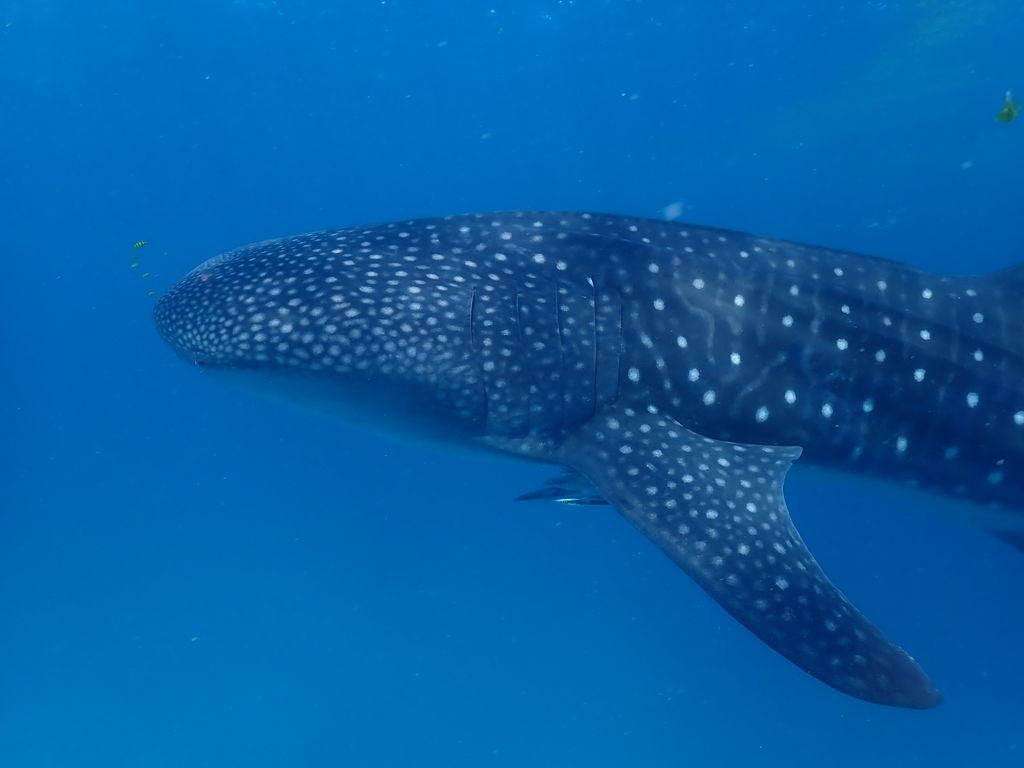 c8332b07-1d64-4265-bb19-3ab43c99fdcd