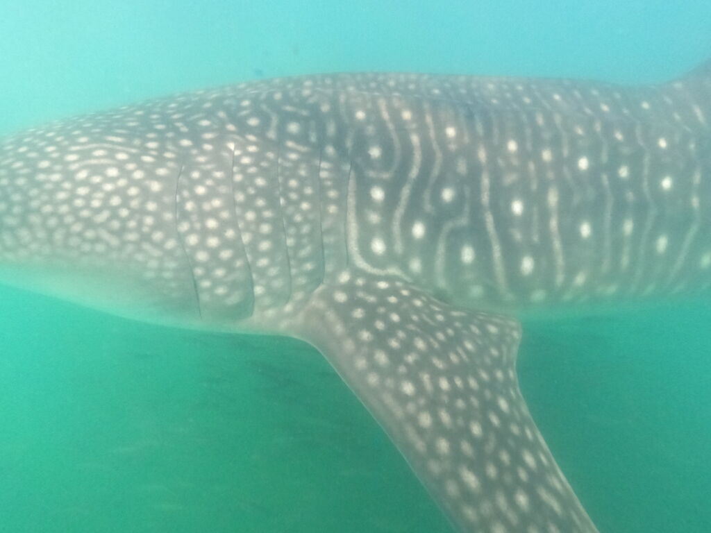 38e709e2-ab25-46da-a657-32929b284109