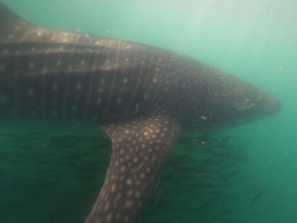 38e709e2-ab25-46da-a657-32929b284109