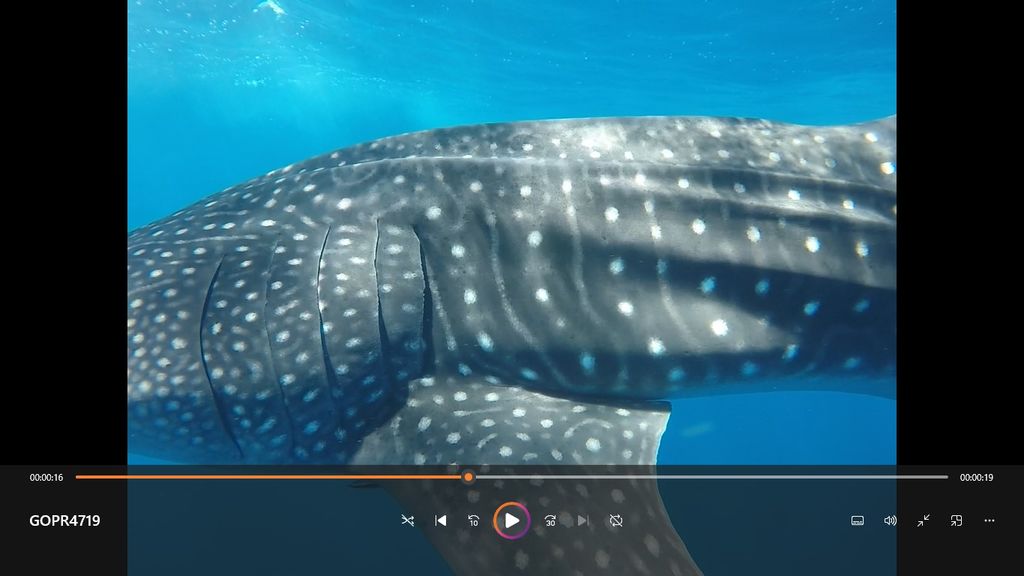 341c4769-4d75-4d5a-b16a-5891350c4e56