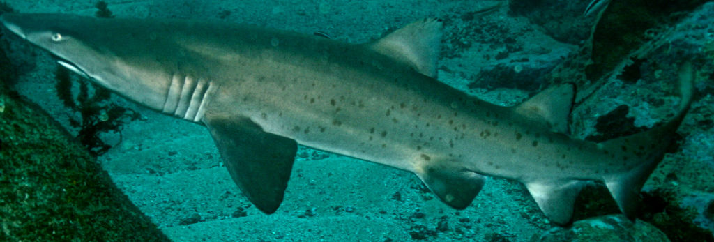 101827ae-6be6-4443-82ee-ad33ceceb1f3