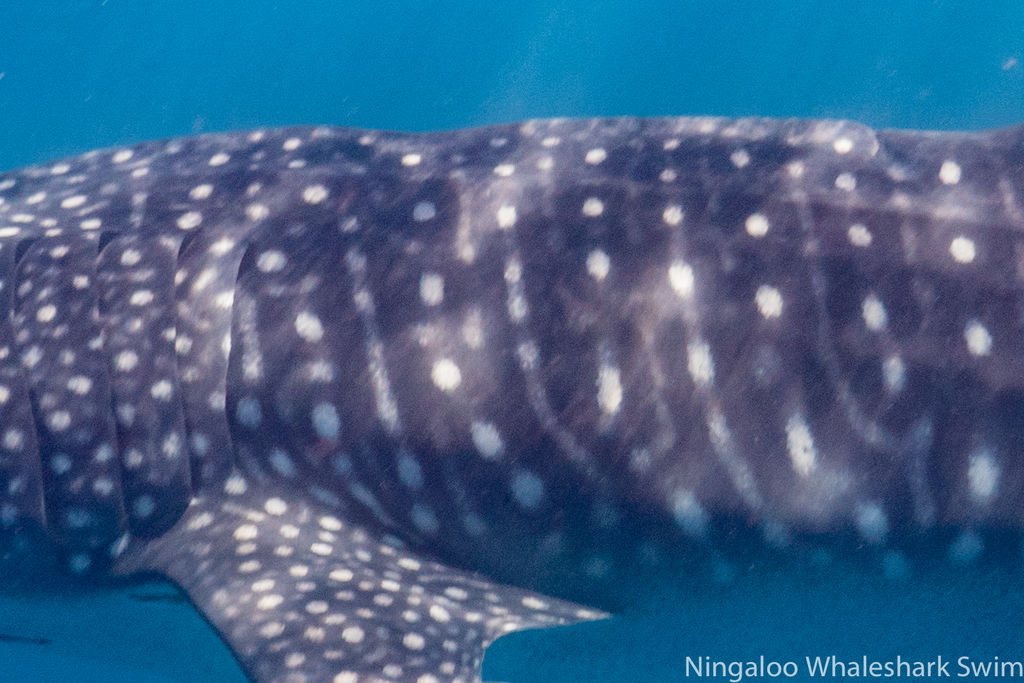 13a64151-5e17-4699-95b3-c908240bd632