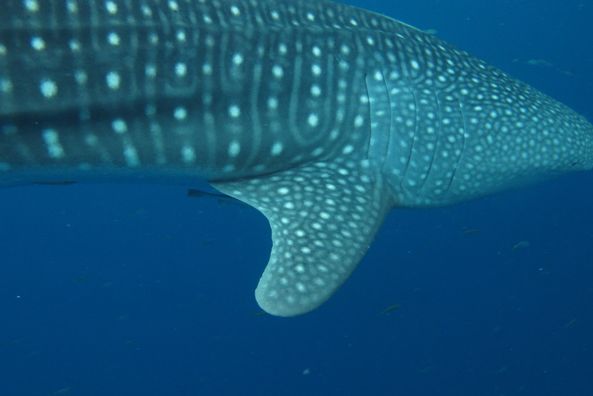 b6c74740-59cf-4b72-943d-36ed2486f00c