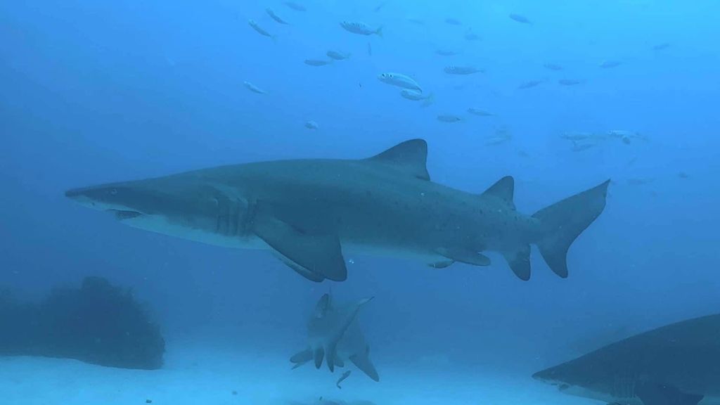 a20861d8-0be9-4afe-bf3b-9473c5e45689