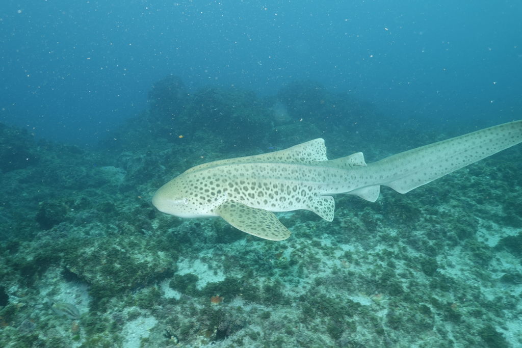 547c47e7-9133-4dc3-a432-b64d11e58686