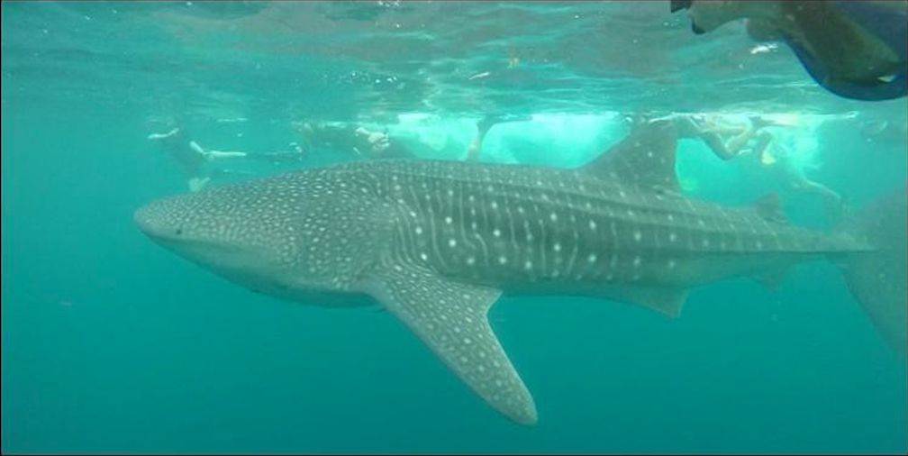 9a8e8c1d-a02c-454f-a2c3-08d427da3409