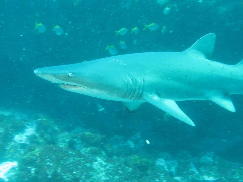 56dbacfc-73d4-4645-83fa-f7272233fa30