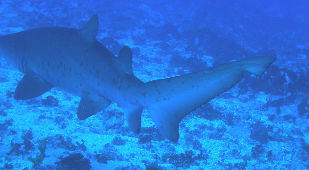 d96f215e-6289-4072-b12f-d821fdc848fb