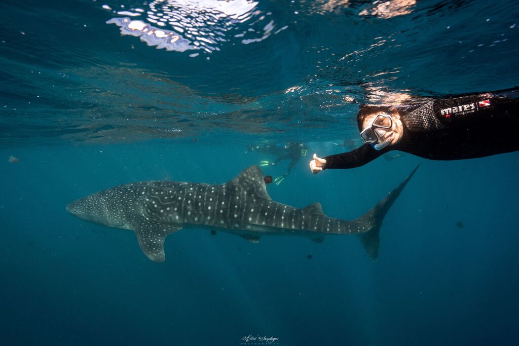 0abfe74b-417a-46f3-98e1-67a5d0d4dd75