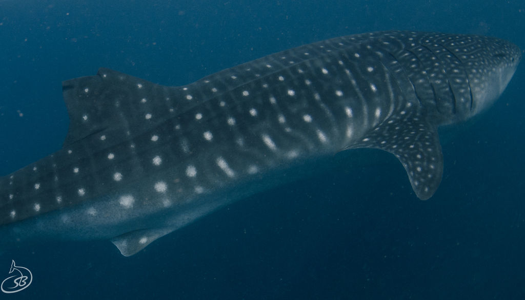 87783db8-8c1d-4254-b052-6bd20cfd4514