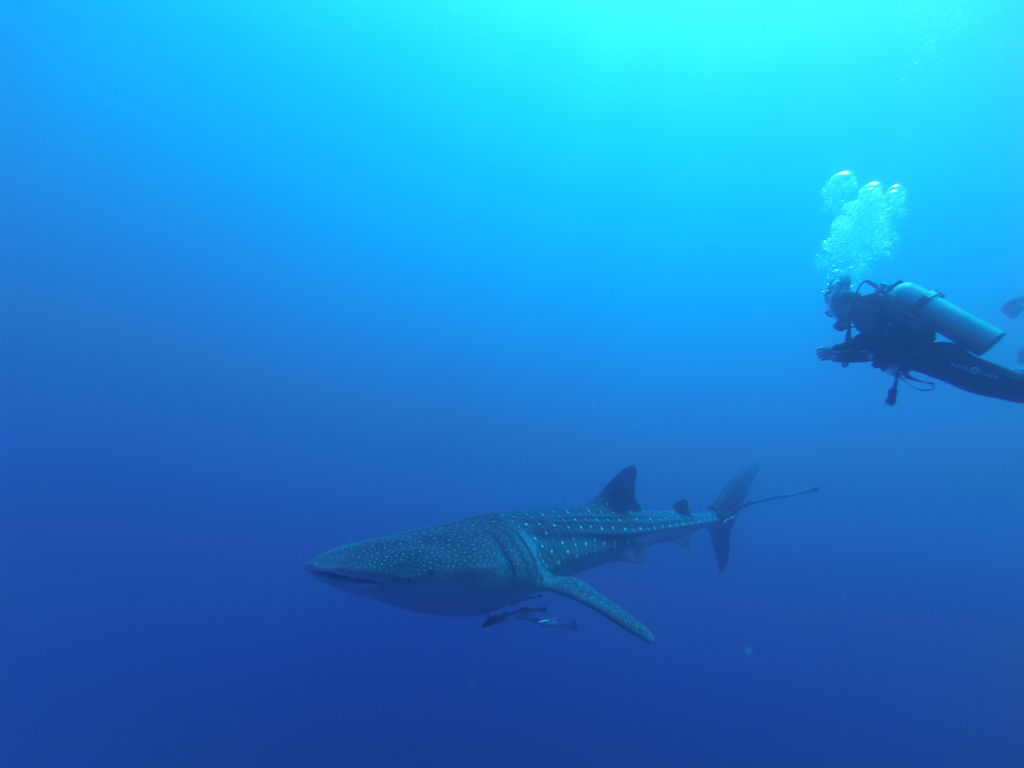 8976be47-3118-474a-9886-8ed663a195e1