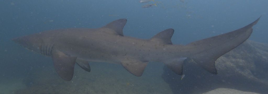 15012861-82fc-4f06-8947-8eaee72fab8e