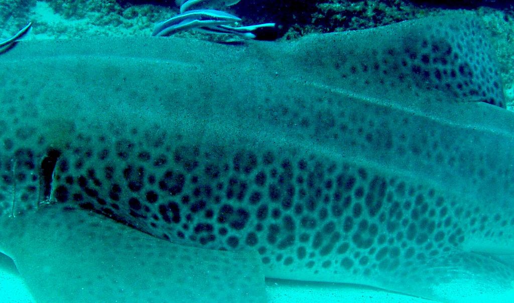 adb8682e-5567-45e7-9571-0a292e19b640