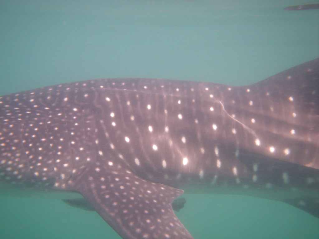 b874bd71-3f21-4553-8f8e-b6d76f61f483