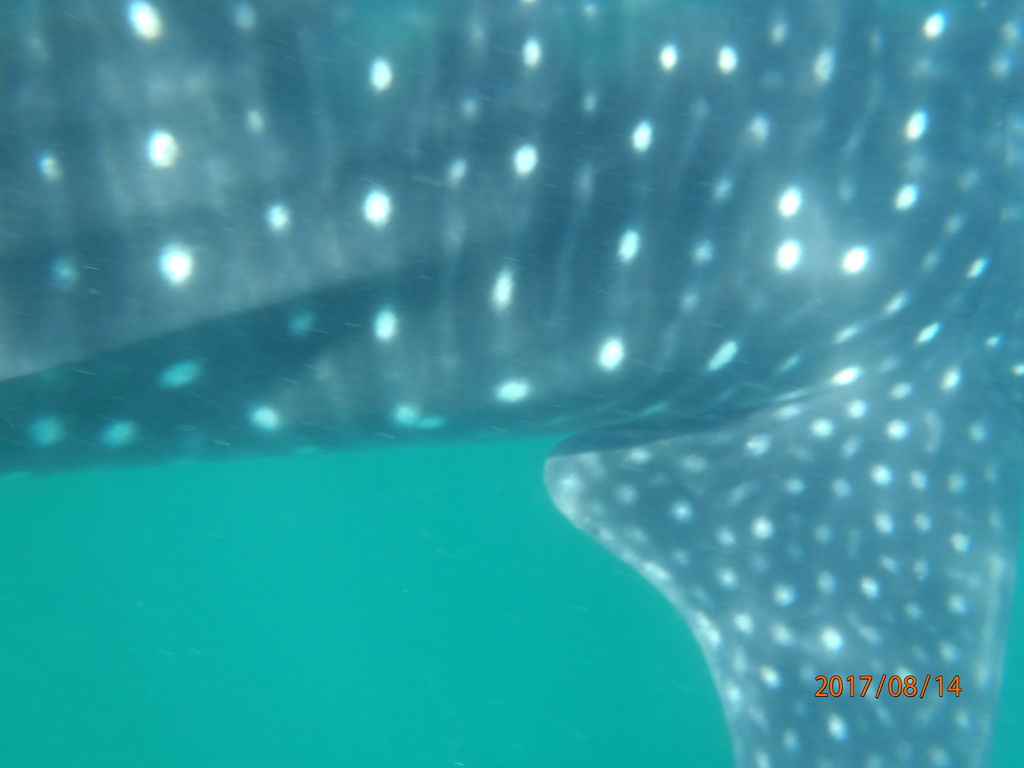 b874bd71-3f21-4553-8f8e-b6d76f61f483