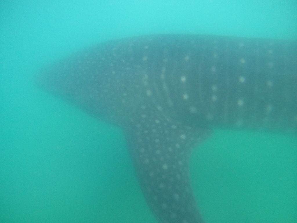 06fc34db-9a1a-4dd4-8137-19864b1a810a