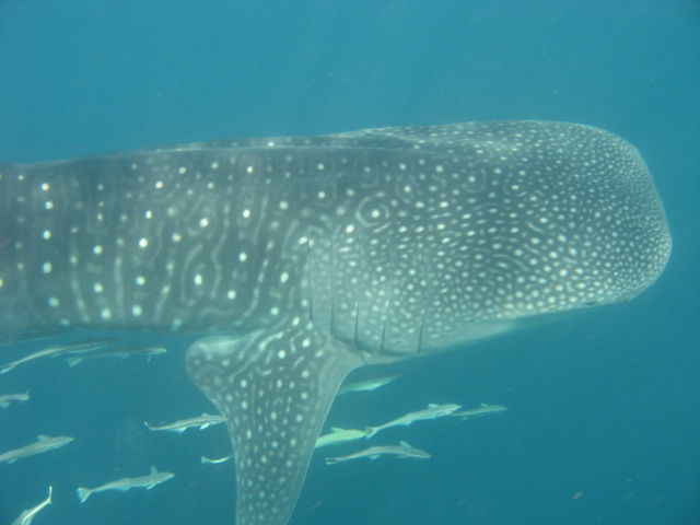 d104d24a-d612-4ebe-98e8-1f97559dbee9