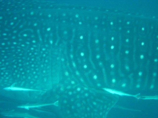 d104d24a-d612-4ebe-98e8-1f97559dbee9