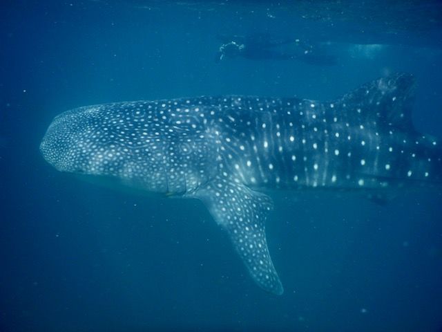 3b14eac8-1ed1-4574-9c2c-83e3a6f2dcca