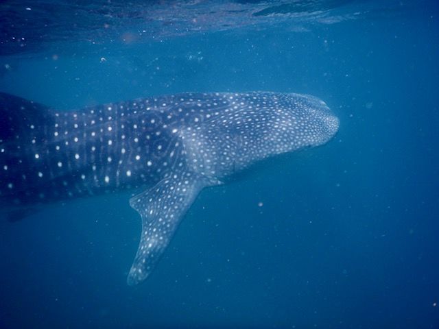 3b14eac8-1ed1-4574-9c2c-83e3a6f2dcca