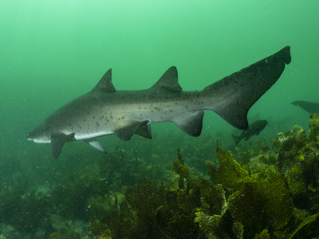 f358e760-d907-4401-8cc3-4c0756568745