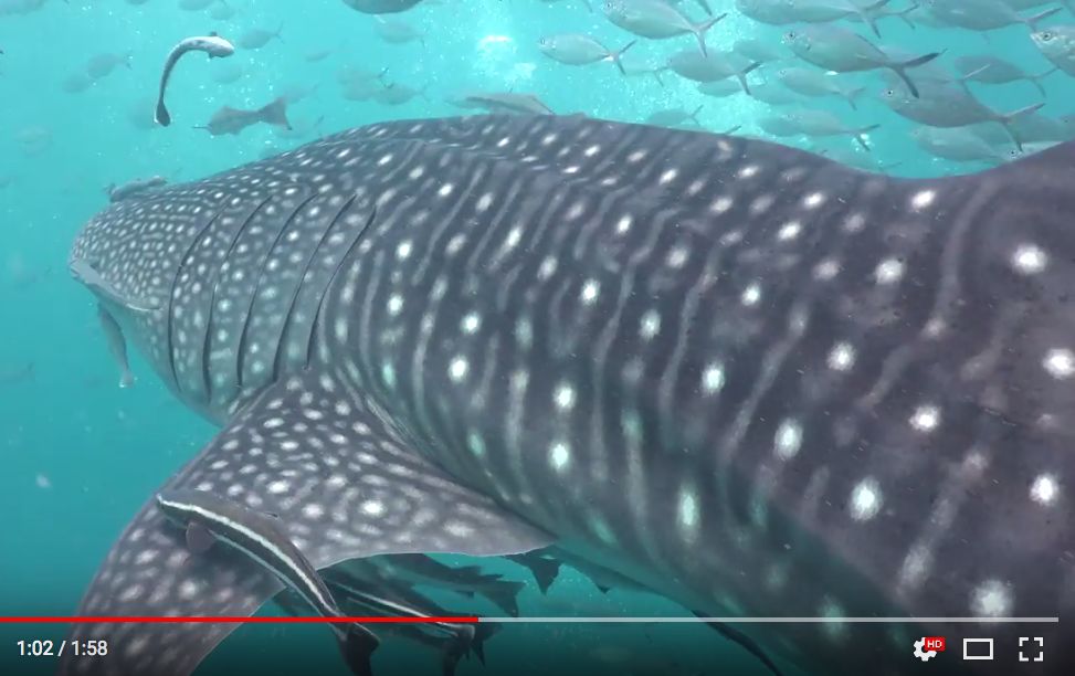 06b74c96-4607-4c8f-954b-b2f977f95060