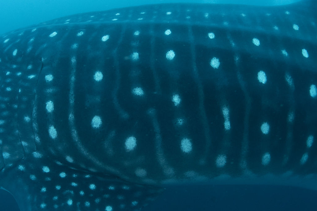 19539d6d-84f0-4170-9187-dec99ed72597