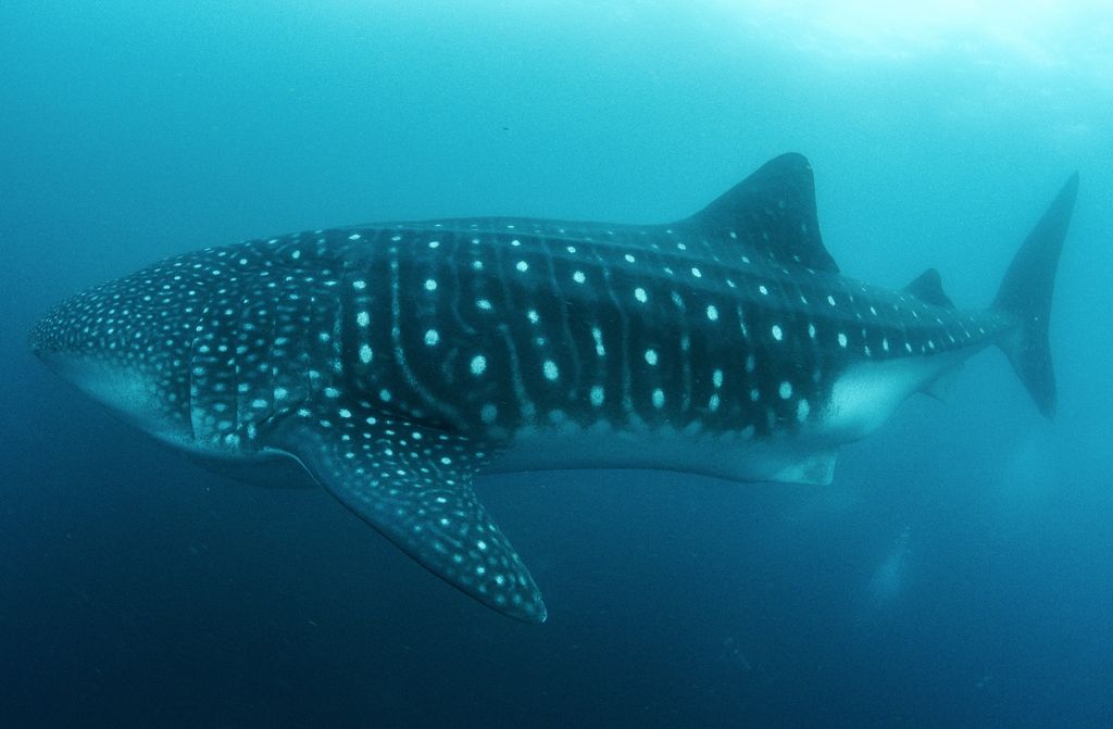 19539d6d-84f0-4170-9187-dec99ed72597