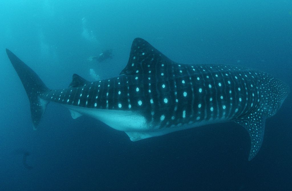 19539d6d-84f0-4170-9187-dec99ed72597