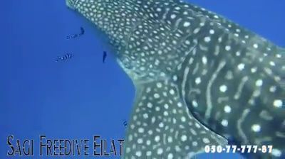 f071d104-3c01-4002-8a28-7296c7a3b979