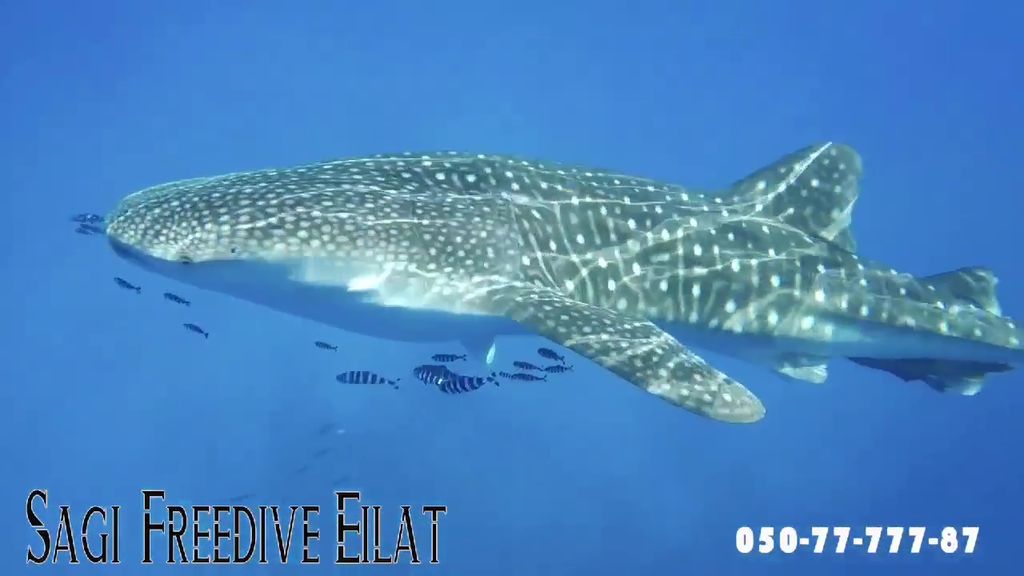 f071d104-3c01-4002-8a28-7296c7a3b979