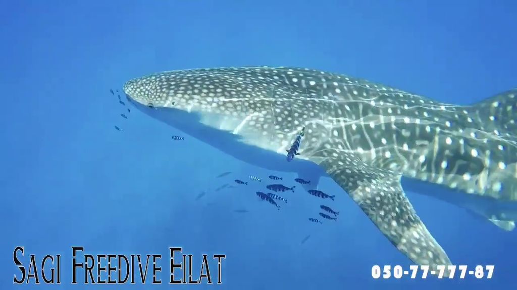 f071d104-3c01-4002-8a28-7296c7a3b979