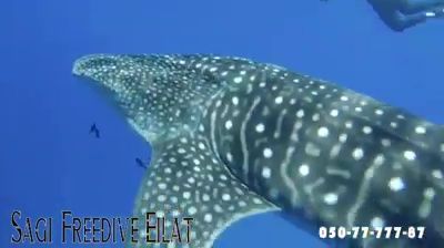 f071d104-3c01-4002-8a28-7296c7a3b979