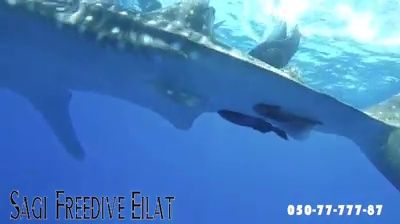 f071d104-3c01-4002-8a28-7296c7a3b979