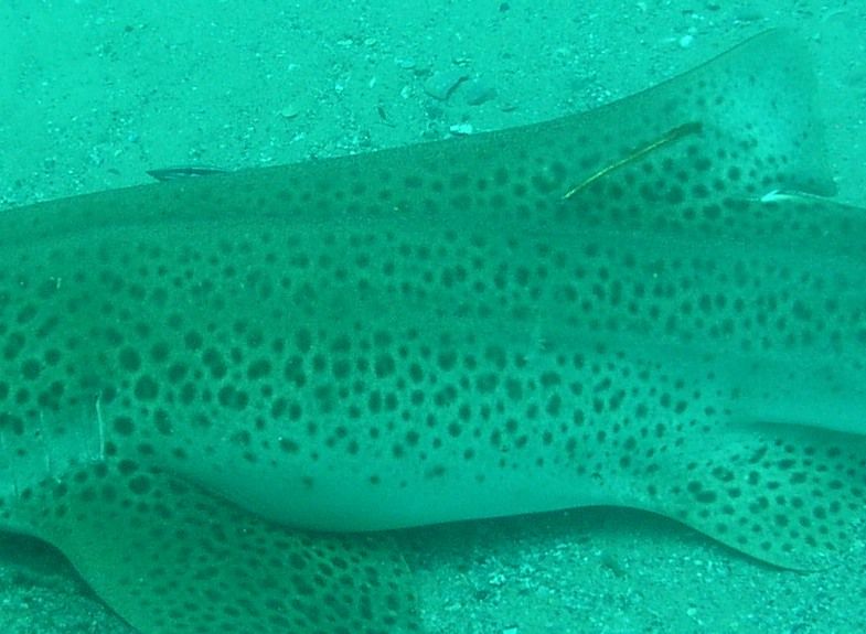 e95d2df0-b714-4055-970f-ac21d3046c4c