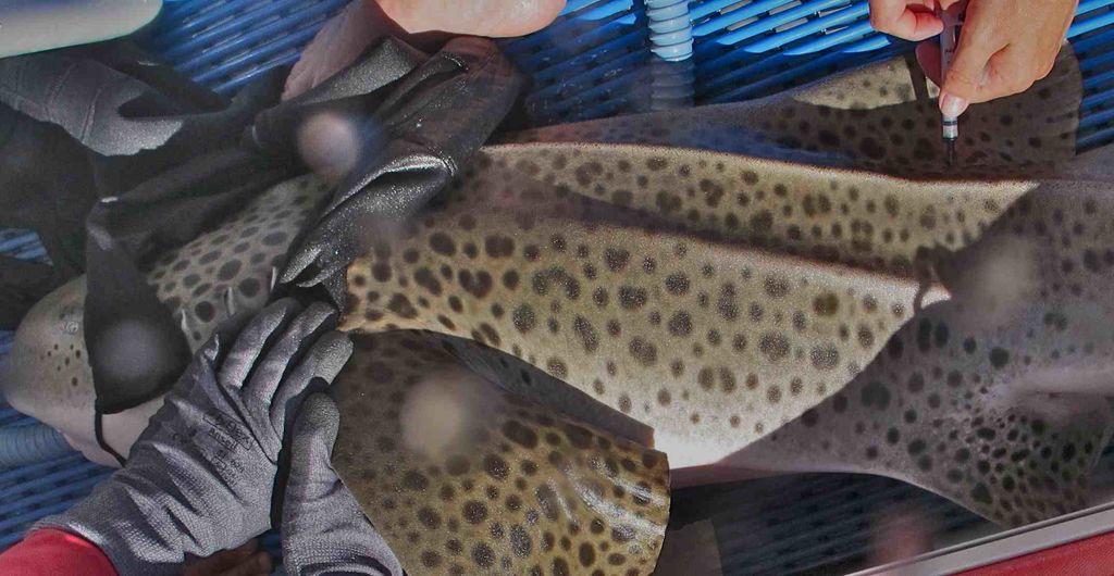 70d45916-2cac-47af-9cea-e043d1eb3763