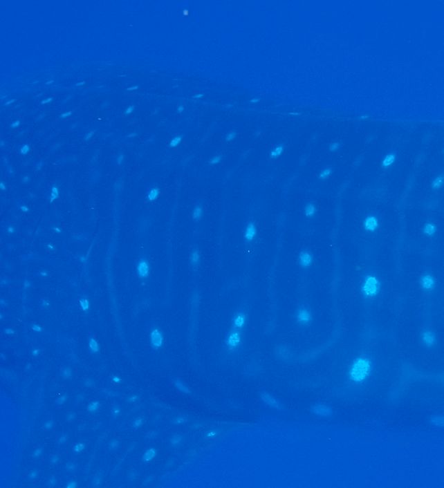 72103c6d-d8b5-4a19-9b21-45eddfd81bb4