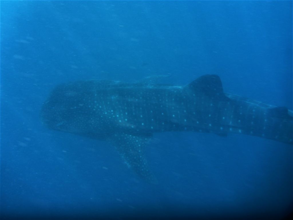 90e57574-e8d4-49e9-88c9-4f20c82f9a41