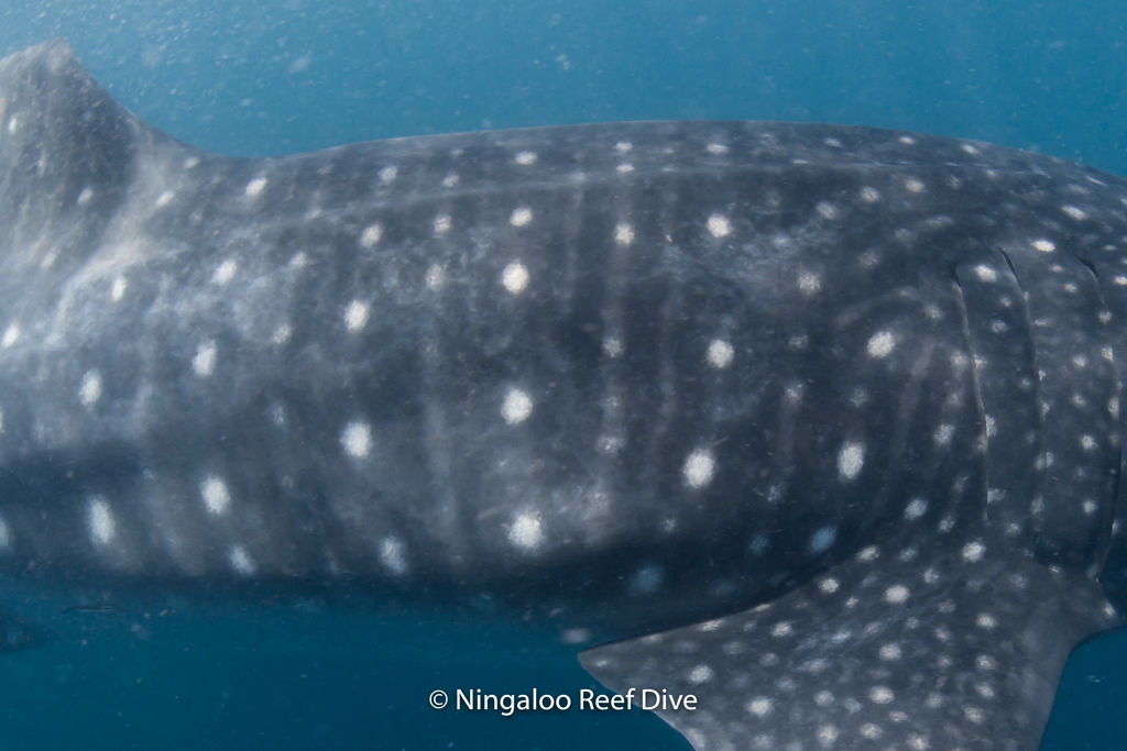 7111a3db-c0f0-46c5-94d8-0cd1a720823f