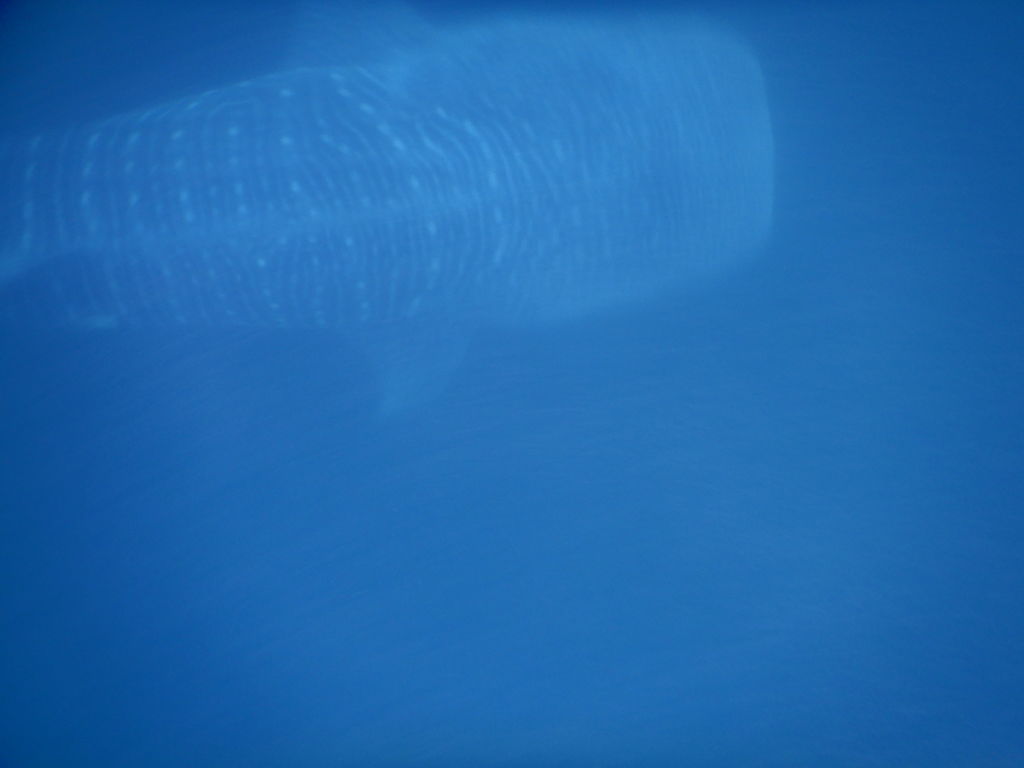 e27f5ba6-01ba-4359-a6fc-026f7e528ec3