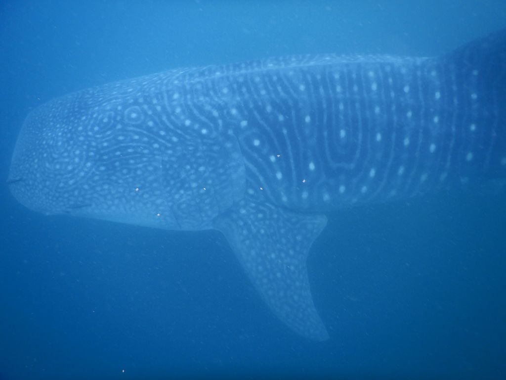 e27f5ba6-01ba-4359-a6fc-026f7e528ec3