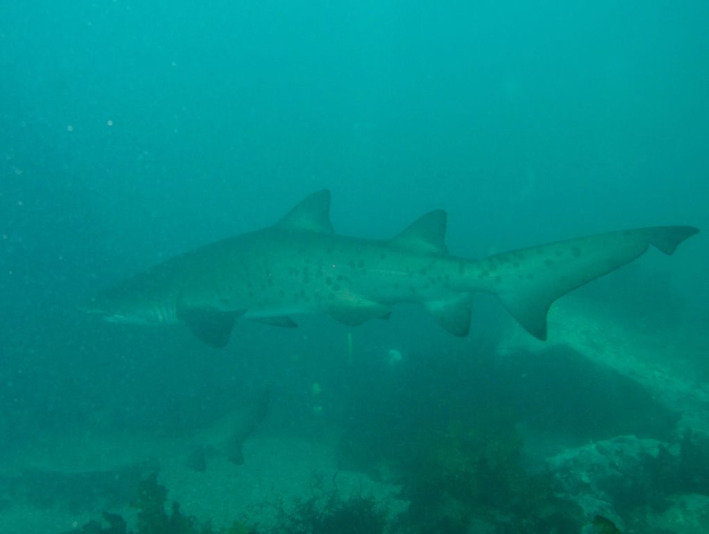 ee267511-f066-49a7-9a6a-b1a8a9e7ed9c