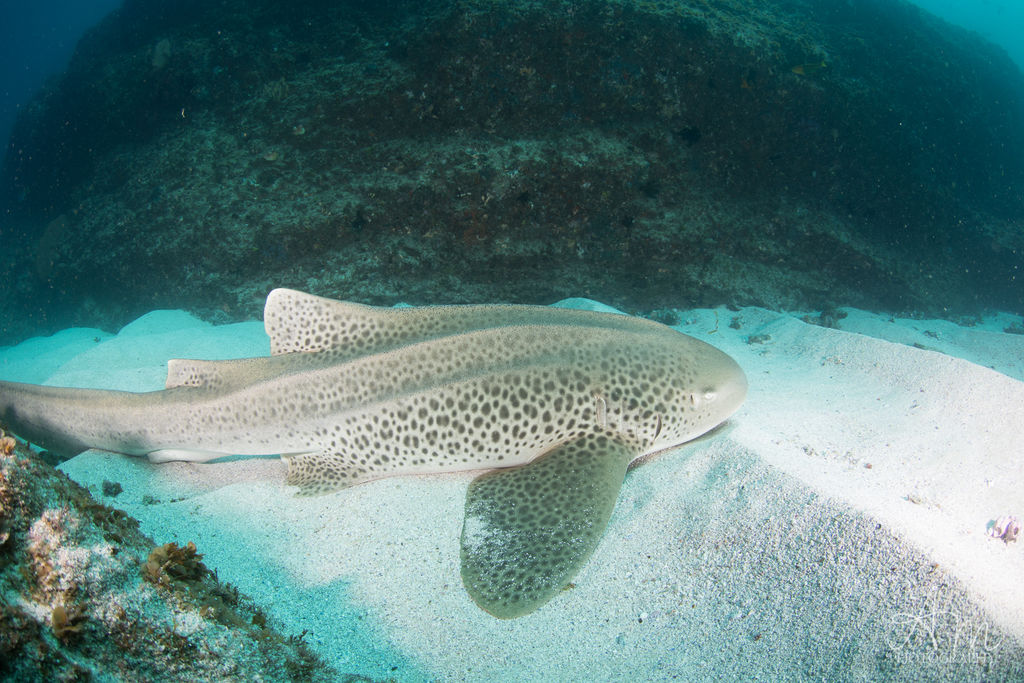 cccdbe72-589f-4366-b24a-acfac1c80adc