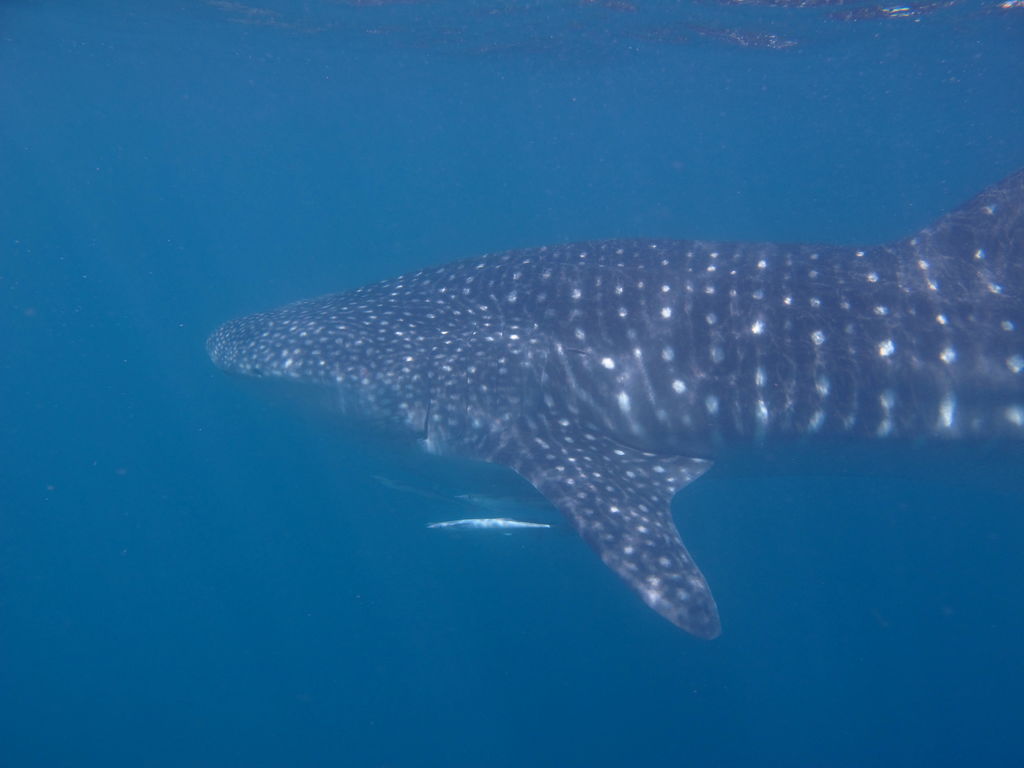 2dcb29f4-633f-459f-b845-937b32495a72