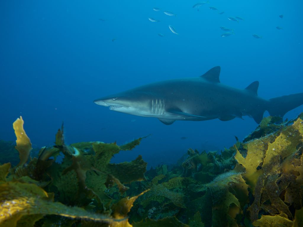 a605564a-6333-488f-a4ce-a47d7f7a4e35