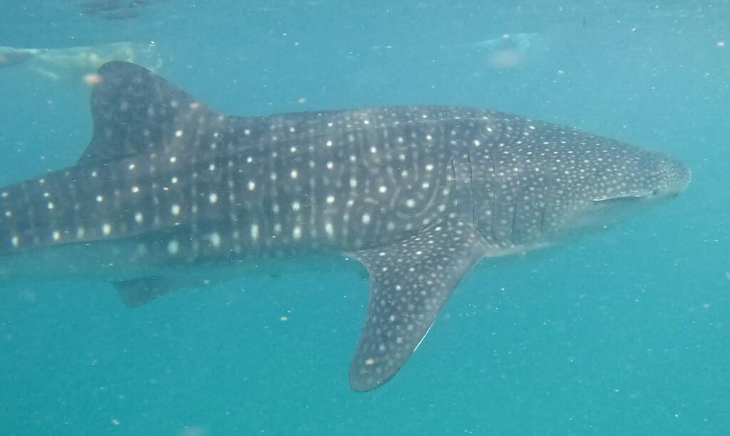 7212e0cc-d5f7-499f-92ef-5245d391e138